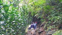 Jalur anak tangga yang harus dilewati untuk ke Curug Sabuk