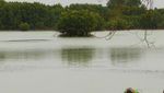 Sst, Masih Ada yang Perawan di Pulau Pari