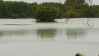 Perahu untuk mengelilingi pantai