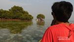 Sst, Masih Ada yang Perawan di Pulau Pari