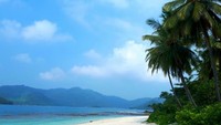 Tepi pulau yang di dominasi jajaran pulau kelapa
