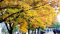 Hiroshima Memorial Park