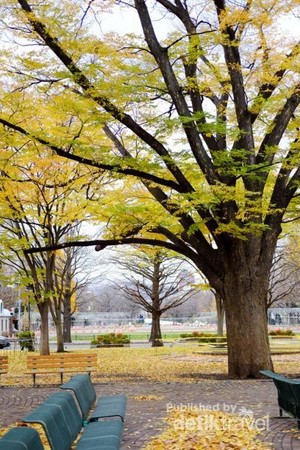 Suasana Romantis Jepang di Musim Gugur