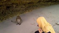 Ketemu kis kis (kis kis= monyet)