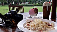 View Borobudur dari resto manohara