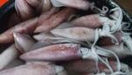 Sudah Main ke Pasar Tsukiji ala Jakarta?