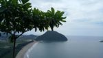 Sudah Ngopi Belum? Ini Kopi Khop dari Gunung Geurute, Aceh