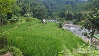 Dulu desa tambang, sekarang desa wisata