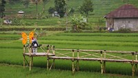 Swafoto di Sawah Lega