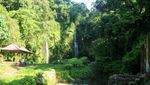 Sudah Tahu? Ada Air Terjun Cantik di Kaki Gunung Rinjani