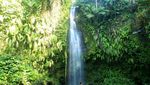 Sudah Tahu? Ada Air Terjun Cantik di Kaki Gunung Rinjani