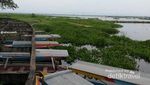 Sudah Tahu? Ada Bukit Cinta di Rawa Pening, Semarang