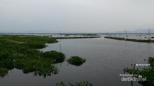 Sudah Tahu? Ada Bukit Cinta di Rawa Pening, Semarang