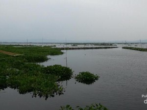 Sudah Tahu? Ada Bukit Cinta di Rawa Pening, Semarang