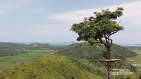 Rumah pohon di Puncak Bukit Bendera