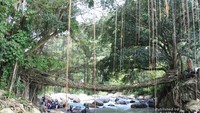 Jembatan Akar Bayang yang unik