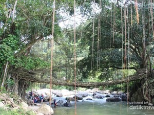 Sudah Tahu, Ada Destinasi Cantik dari Pesisir Selatan Sumbar