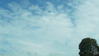 pemandangan lain, langit yang cerah menambah suasana tenang danau