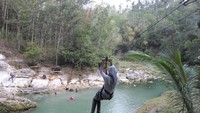 flying fox