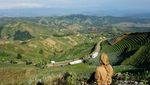 Sudah Tahu? Bukit Super Cantik Ini Ada di Majalengka