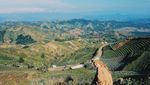 Sudah Tahu? Bukit Super Cantik Ini Ada di Majalengka
