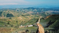 Menikmati keindahan panorama dari atas bukit