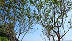 Sudah Tahu? Ini Pantai Cantik di Kota Malang