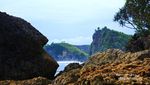 Sudah Tahu? Ini Pantai Cantik di Kota Malang