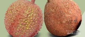 Sudah Tahu, Lombok Memiliki 4 Buah Langka dan Berkhasiat!