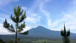 Sudah Tahu? Pemalang Punya Desa Wisata yang Asyik Dikunjungi Akhir Pekan