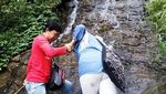 Sudah Tahu? Pemalang Punya Desa Wisata yang Asyik Dikunjungi Akhir Pekan