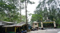 Gerbang utama, dari sini sudah terlihat keindahan alamnya dikelilingi hutan pinus dan kebun teh
