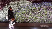 Bunga-bunga tersusun rapi dan cantik di area The bund,semuanya asli dan hidup