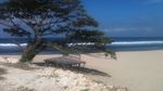 Suit..suit! Cantiknya Pantai Indrayati, Yogyakarta