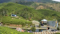 Sumber mata air Tuk Bening. Airnya dingin. (foto: Teguh Tarono)