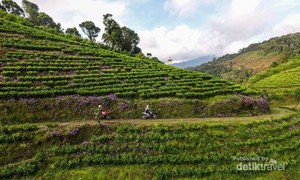 Suka Traveling Naik Motor, Brebes Punya Tempatnya