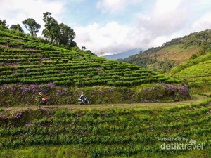 Suka Traveling Naik Motor, Brebes Punya Tempatnya