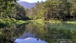 Sukaluyu, Kampung Berkebun di Atap Bandung