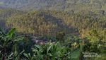 Sukaluyu, Kampung Berkebun di Atap Bandung