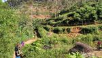 Sukaluyu, Kampung Berkebun di Atap Bandung