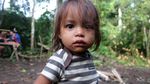 Suku Anak Dalam, Sang Penjaga Rimba
