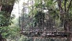 Suku Baduy yang Menyatu dengan Alam