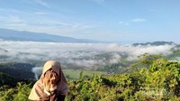 Kabutnya mulai menghilang