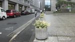 Sulitnya Mencari Tempat Sampah di Jepang, Tapi Tetap Bersih