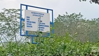 Kebun Teh peninggalan belanda