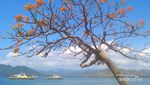 Sumbawa, Surga Hijau di Timur Indonesia