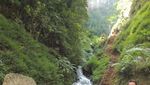 Sumber Pitu, Air Terjun Segar dari Malang