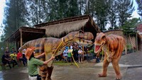 Raptor Show