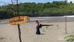 Sungai Amazon Versi Indonesia di Pacitan
