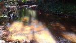 Sungai di Kamboja dengan 1.000 Lingga